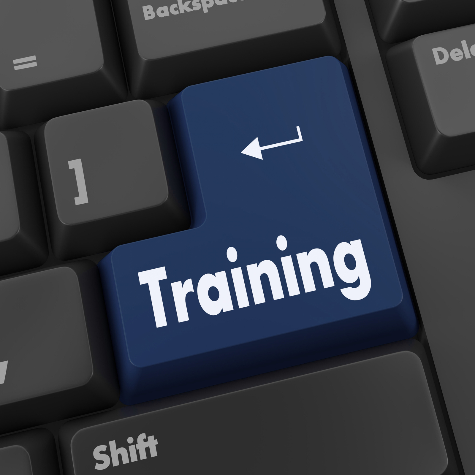 Training & Capability Building
